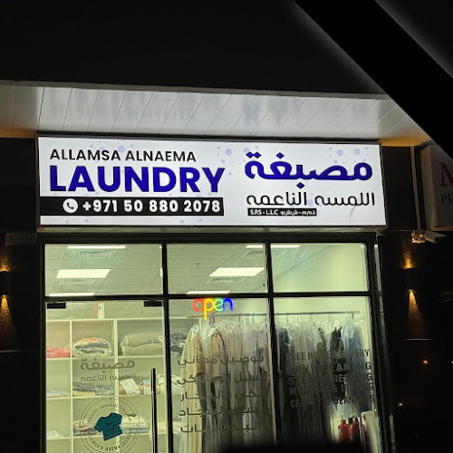 Al Lamsa Al Naema Laundry L.L.C in Al Jerf Industrial 3