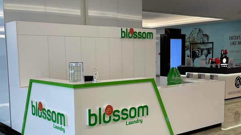 Blossom Laundry Collect Point in Barsha Heights