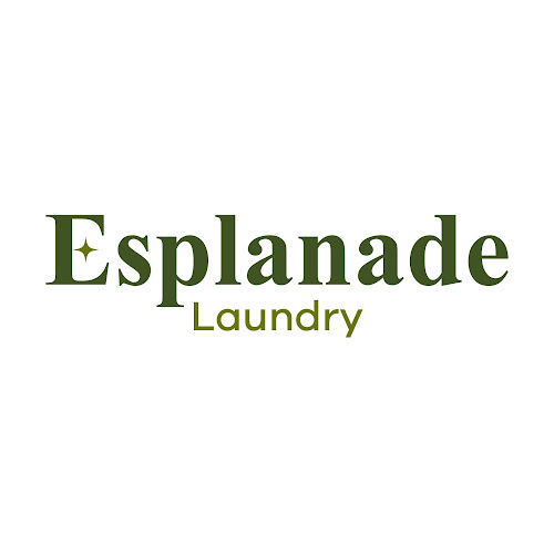 Esplanade Laundry L.L.C in Dubai Investment Park First
