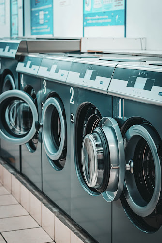 Flower Fresh Laundry LLC in Barsha Heights